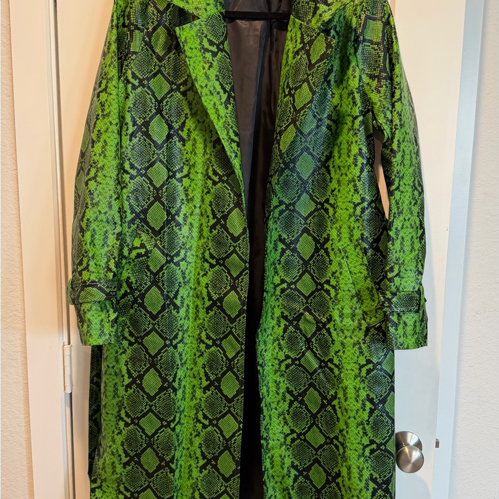 Green Snake Coat - Picture 3 of 4